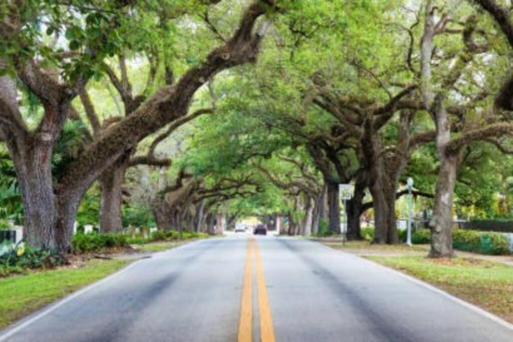 My Lovely Home In Miami 15 Minutes From The Beach Eksteriør bilde